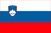 Slovenia Flag